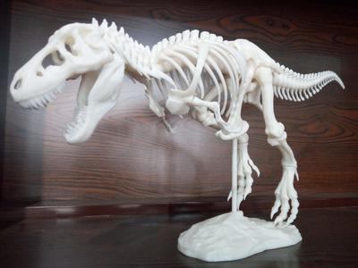3D打印样品PLA-恐龙化石